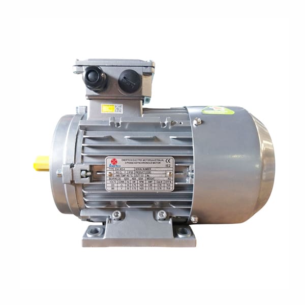 Motor chân đế ESS