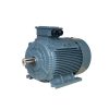 motor chân đế SGP 355L5 250KW 6Pole 380V