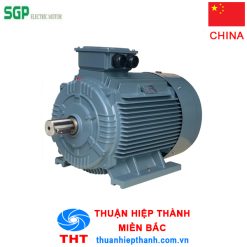 motor chân đế SGP 315L1 110KW 6Pole 380V