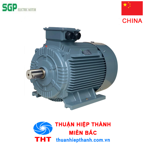 motor chân đế SGP 315L1 110KW 6Pole 380V