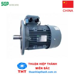Motor điện mặt bích SGP