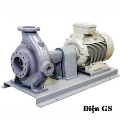 Bơm chữa cháy Ebara GS
