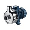Máy bơm trục ngang đầu inox Ebara DWO
