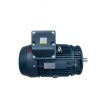 Motor điện mặt bích Toshiba 2P