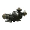 Máy bơm hoá chất công nghiệp đầu nhựa NTP USP 380V
