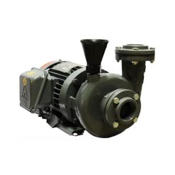 Máy bơm trục ngang đầu gang NTP HVP 2Pole