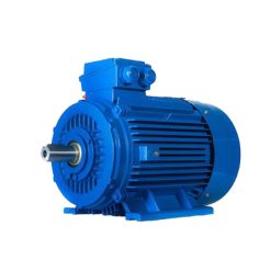 motor chân đế TMX 2Pole 380V