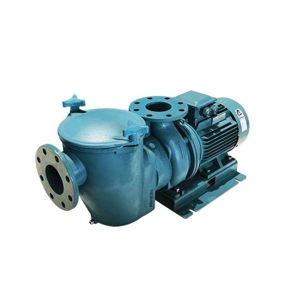 Máy bơm nước hồ bơi Emaux SE