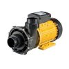 máy bơm hồ bơi hồ spa Davey QB 220V